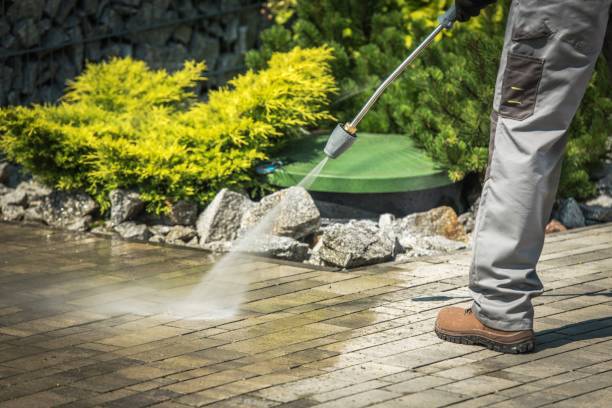 Best Boat and Dock Cleaning  in Cross Roads, TX